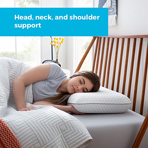 LINENSPA Pillow Ventilated Charcoal Pillows Standard size Memory