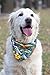 Dog Bandana with Hawaii Style - 2 Pack Triangle Dog Head Scarf Holiday Bandana Accessories for Small to Large Pet