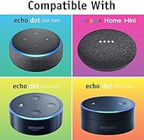 amazon echo no sound