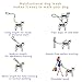 PetBemo Hands Free Leash - Multifunctional Training Leash 6.2ft Nylon Dual Leash Fits Puppy, Small & Large Dogs for Running, Jogging or Walking