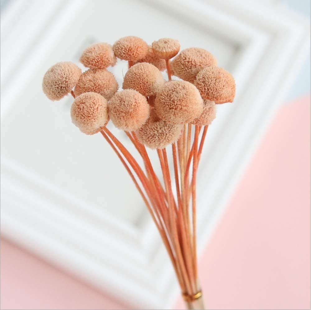 90 Stems Dry Flowers Brazilian Import Small Spilanthes Flower Dried Acmella Oleracea Decorative Mini Dry Bouquet for Wedding Floral Arrangements, 18” -20" Tall Home Decorations (Orange)