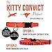 Kitty Convict Personalized Cat ID Collars (Orange Cat Collar w/Custom Pet ID Tag)