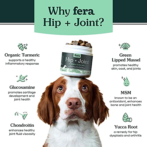 chewy joint supplement