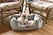 Pet Trendy Modern Chic Trellis Thick Bolstered-Microfiber Machine-Washable Pet Bed for Dog and Cat, 20-Inch x 28-Inch x 8-Inch, Sea Blue