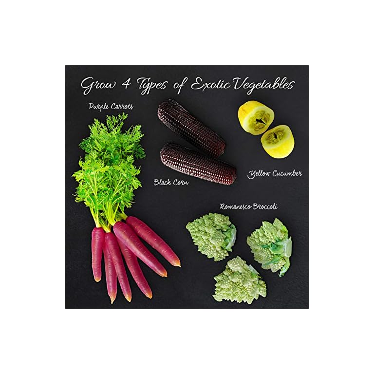 Nature’s Blossom Gardening Kit Includes 4 Types of Exotic Vegetable