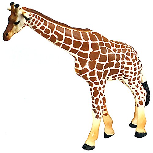 Download Best Toy plastic giraffe (April 2020) ★ TOP VALUE ...