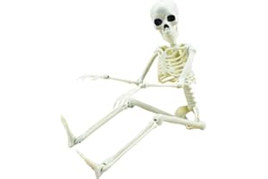 XONOR 16” Posable Halloween Skeleton- Full Body Halloween Skeleton with Movable Joints for Haunted House Props Decorations (1pc)
