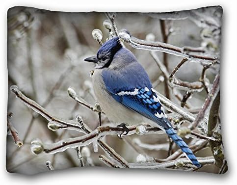 Decorative Standard Pillow Case Animals bird jay Blue branch ice Winter 20"*26" One Side
