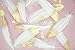 Piokio 12 pcs Natural Sparkle Gold Dipped Feather in Bulk for Craft Party Decoration, Baby Bridal Shower Home Wedding Decorations, Marriage Birthday Table decor