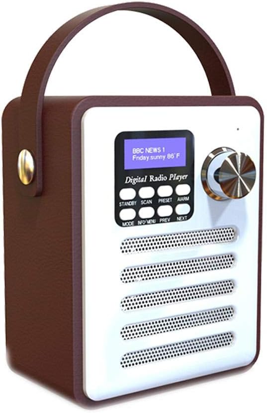 Smartey Radio - Multifunctional Retro Radio DAB Digital WiFi Internet FM Portable Radio Alarm Clock Wooden Box Stickers Belt Bluetooth TF Card U Disk MP3