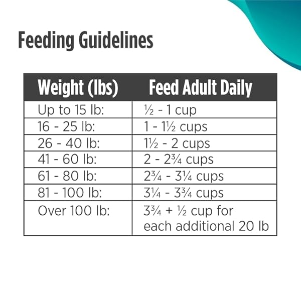 NULO FREESTYLE LIMITED INGREDIENT DRY DOG FOOD – HIGH PROTEIN SALMON RECIPE, NATURAL GRAIN FREE DOG FOOD FOR PUPPIES & ADULTS, SMALL, MEDIUM AND LARGE BREED KIBBLE, 5.5LB BAG