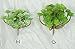 Lily Garden All Kinds of Green Artificial Succulent Plants (G)