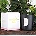 NEOVIVA HOME Scented Candles with Rose & Amber with 100% Natural Essential Oils Aromatherapy Candle Soy Wax for Stress Relief and Aromatherapy Quality Gift 9.9 Ounce (Black, Large)thumb 1
