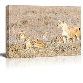 Wild Animals Canvas Prints Series - Lions | Stretched and Ready to Hang - 16"x24"