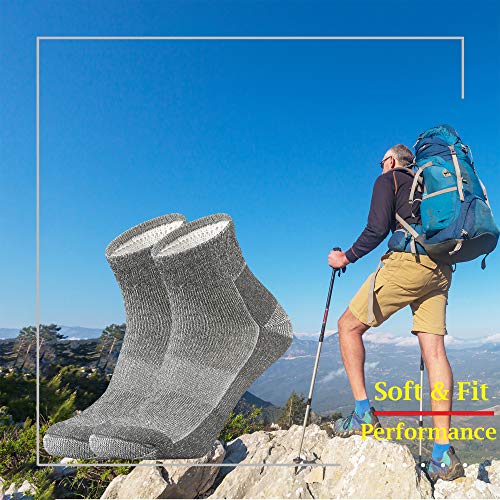 Ortis Merino Wool Moisture Wicking Outdoor Hiking Cushion Low Cut Socks