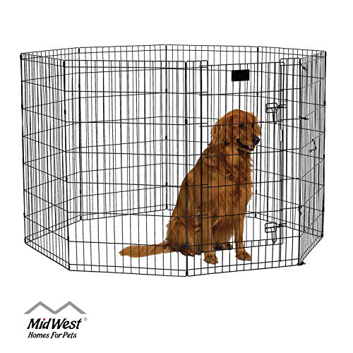 MidWest Foldable Metal Exercise Pen / Pet Playpen, Black w/ door, 24"W x 42"H