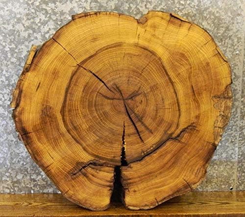 Thick/Round Cut Natural Edge End Table Top Mulberry Wood Slab T: 4 1/16''D: 30'' - 20715