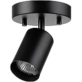Globe Electric 57498 Pratt 1-Light Track Lighting Spotlight, Matte Black, Bulb Not Included