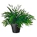 Ikea Artificial Potted Plant Bamboo 11