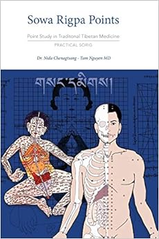 Sowa Rigpa Points: Point Study in Traditional Tibetan Medicine