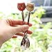 SQOWL Cute Little Stainless Steel Spoon Owl Ceramic Coffee Spoon Small Tea Spoons Set for Owl Lovers Red and Yellow