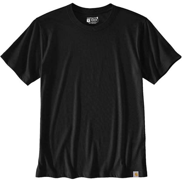Carhartt Men's Relaxed Fit Lightweight Short-Sleeve Script