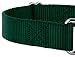 Country Brook Petz Martingale Dog Collar - Heavy-Duty Training Collar with No Buckle - Service Dog Collar for All Pups - Vibrant, Colorful Collection (Green, 1 Inch, Medium)