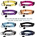 Phydeaux’s Mountain Climbing Rope Dog Leash - 6 ft Long - Premium Quality - Perfect for Medium and Large Dogs (Purple)