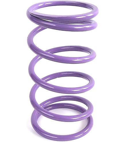 Amazon.com: EPI Performance Secondary Clutch Spring