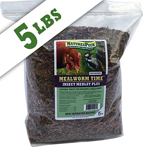 NaturesPeck Insect Medley Plus (New Recipe) - 5 lbs