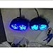 Lantsun LED Forklift Safety Light Warehouse Safe Blue Spot Lights Warning Lamp 5.5