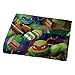 Nickelodeon MY0118 Teenage Mutant Ninja Turtles Primetime Zip-It Bedding