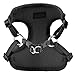 PUPTECK Harness for Small Dogs - Leash Set Adjustable Soft Mesh Pet Vest for Walking Black