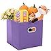 MaidMAX Storage Bins 12x12x12, for Home Organization and Storage, Toy Storage Cube, Closet Organizers and Storage, with Dual Plastic Handles, Purple, Set of 6