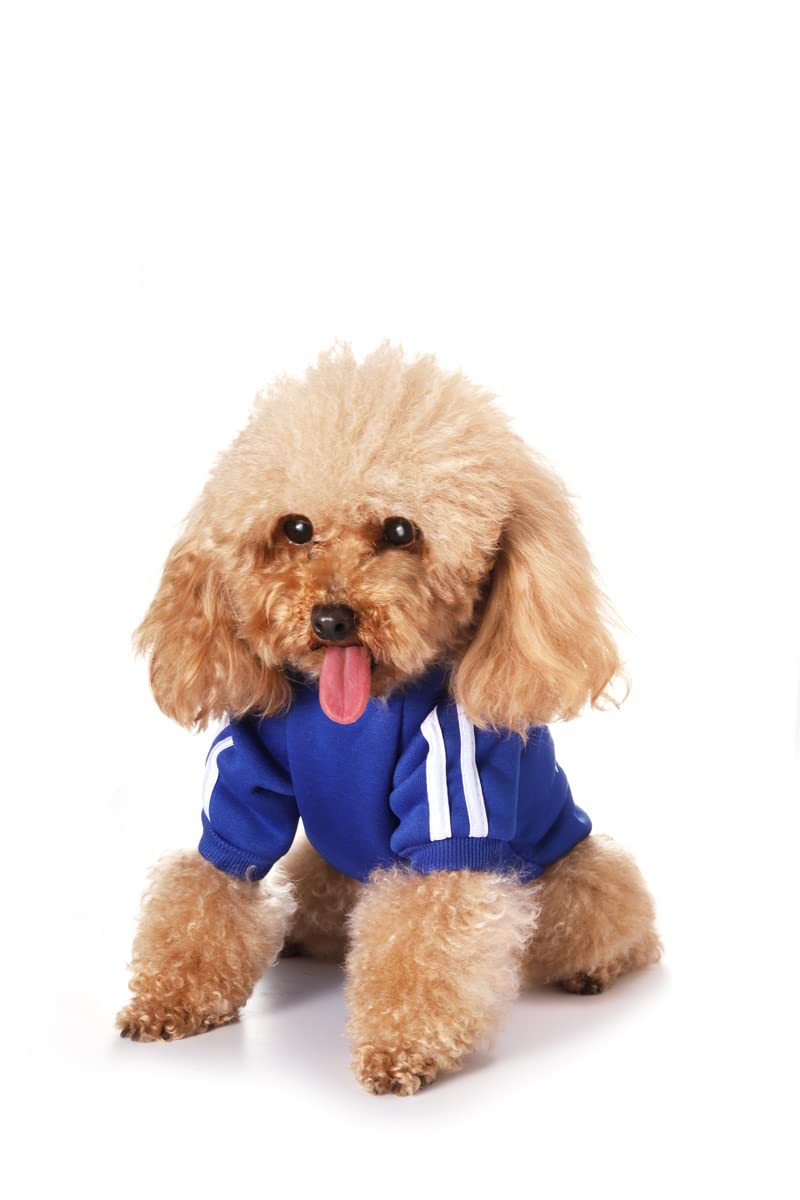 Puppy Hoodies - Dog & Cat Apparel, Fleece Sweatshirt, Winter Clothes, Small to Large Sizes