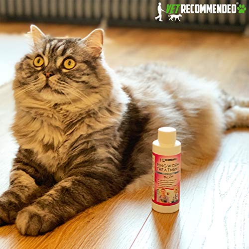 Vet Ringworm Treatment for Cats Concentrate Makes Two