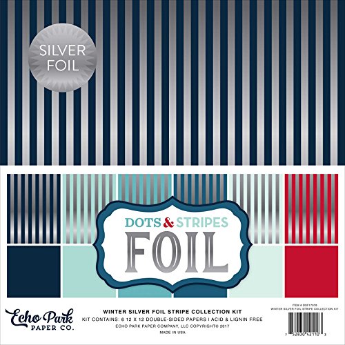Echo Park Paper DSF17076 Double-Sided Collection (12 Pack), 12" x 12"