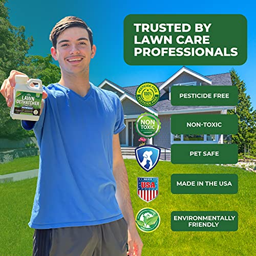 PetraTools Liquid Dethatcher, Lawn Dethatcher & Aerator, Grass