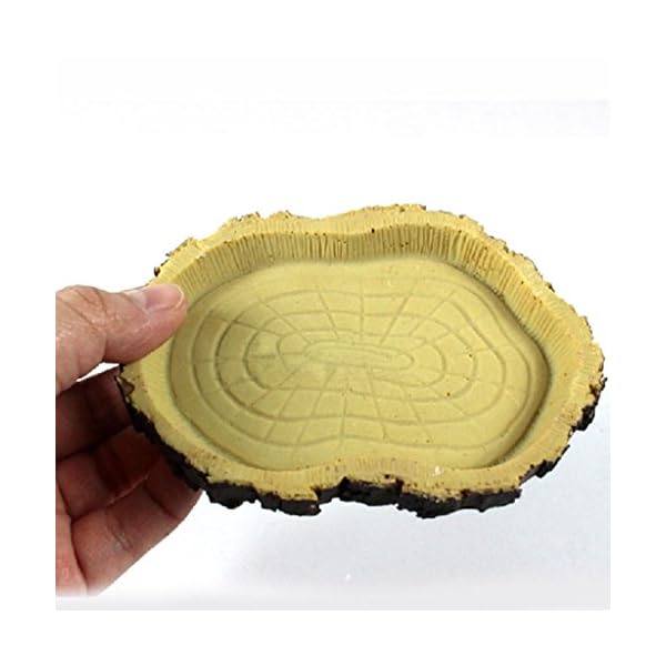 Alimentazione Rettile Resina Acqua Alimento Ciotola Piatto Pet Vivaio Tartaruga Geco Serpente