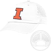 Desert Cactus Illinois Snapback Hat – BreezePro Performance Cap with Adjustable Strap Designed for Fighting Illini Fans (BP1)