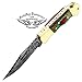 Best.Buy.Damascus1 Multi Color Wood 5.5'' Custom Handmade Damascus Steel Double Brass Bloster with Sharpening Rod Folding Pocket Knife Back Lock Prime Quality Come with Leather Sheath