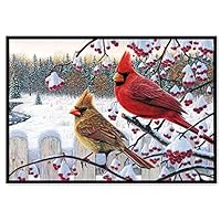 GXOK Partial Dirll Diamond Painting,DIY Animal Embroidery Paintings with Rhinestone Pasted,5D Diamond Painting Cross Stitch for Home Decor (Bird, 40x30cm)