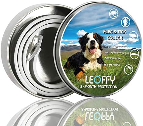 JEMOTEK Dog Muzzle, Basket Dog Muzzles for Dogs Stop Bting and Barking, Adjustable Dog Mouth Cover with Reflective Strip for Small Medium Large Dog