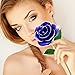 24K Gold Rose Flower, Metal Dipped Roses Artificial Flowers for Valentine Day, Anniversary, Birthday for Lover Mother Girlfriend, 24K Golden Plated Rose in Present Box Red