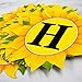 Rainlemon Sunflower Happy Birthday Banner Girl Birthday Party Decoration Supply