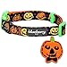 Blueberry Pet 8 Patterns Halloween Harvest Pumpkin Classic Designer Adjustable Dog Collar with Decoration, Medium, Neck 14.5