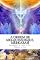 Livro A Ordem de Melquisedeque, e Merkabah: Reconstrói de novo o Teu Veiculo de Luz