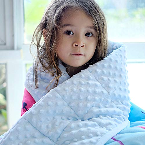 ZonLi Weighted Blanket (7 lbs,41''x60'',Kids,Cat) Minky Fleece