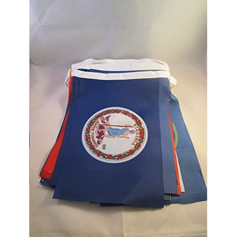 AZ FLAG - 50 States of US Bunting Flag - 32 Ft Garland with 50 Small American states Flags 6'' x 4'' - 100% Polyester String Pennant - 10 meters