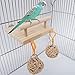 Bird Perches Cage Toys，Small Animals Nest Wooden Hanging Toy，Parrot Play Gym Stands with Acrylic Wood Swing,Rattan Ball,Ferris Wheel，Pet Training Playstand for Cockatiels/Conures/Hamster/Rat/Squirrelthumb 3